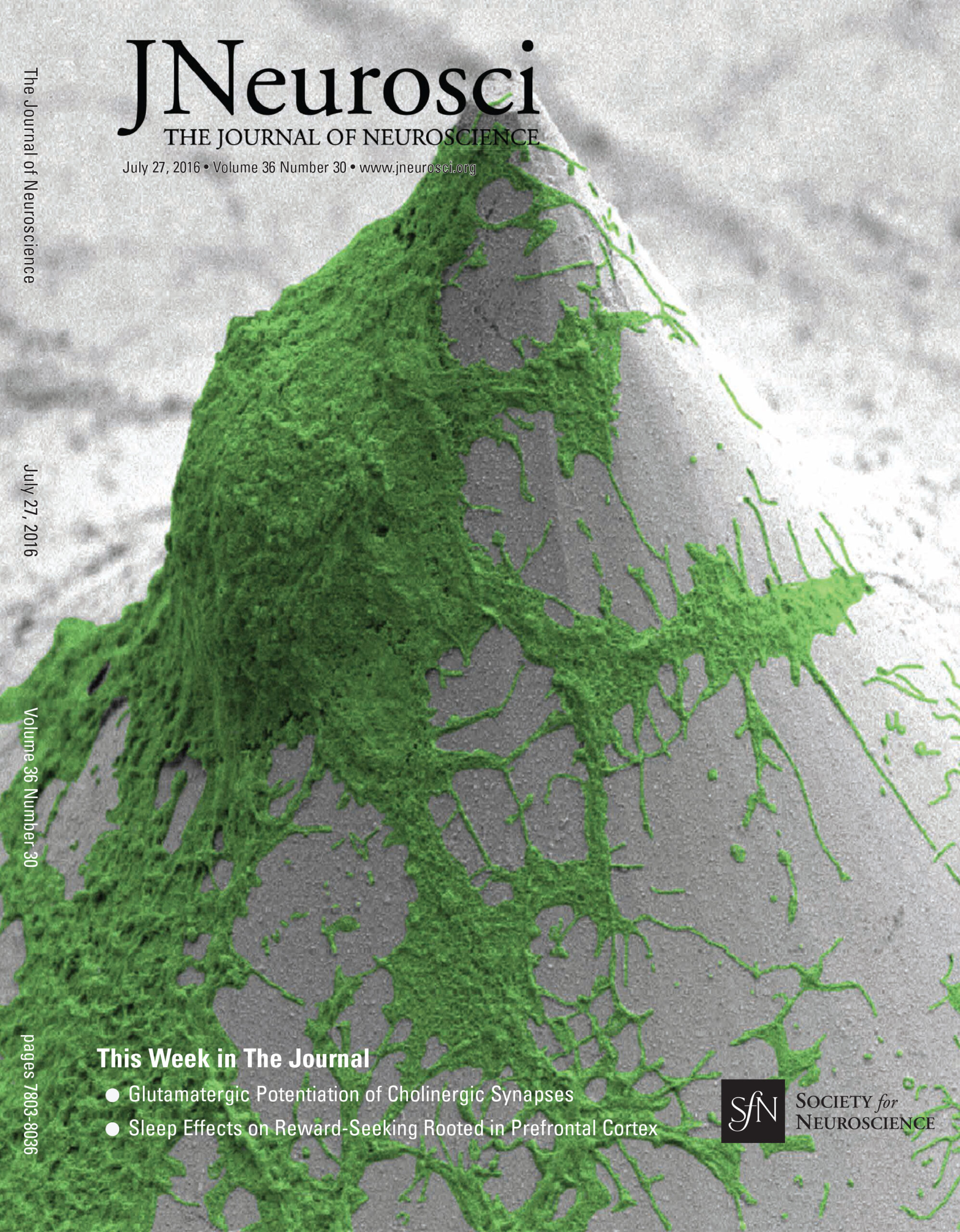 J. Neuro 2016 Cover FINAL Scaled