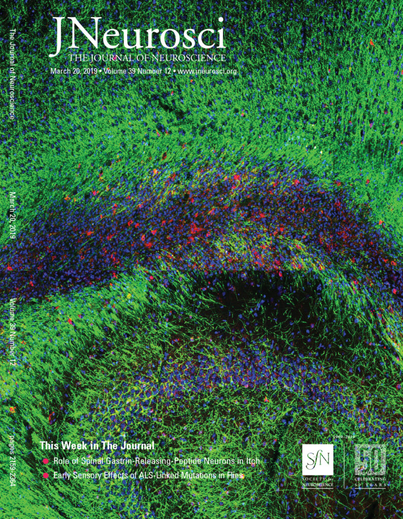 Rankin Cover 1 795x1024