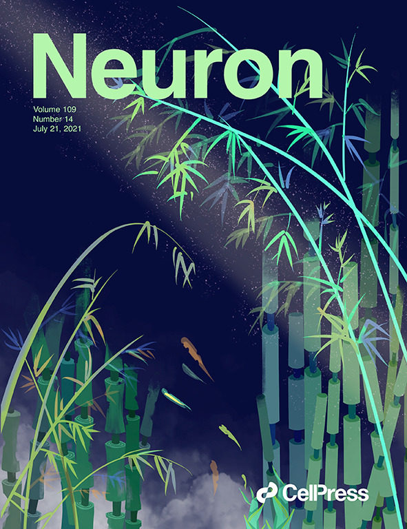 Cover E1636697369468